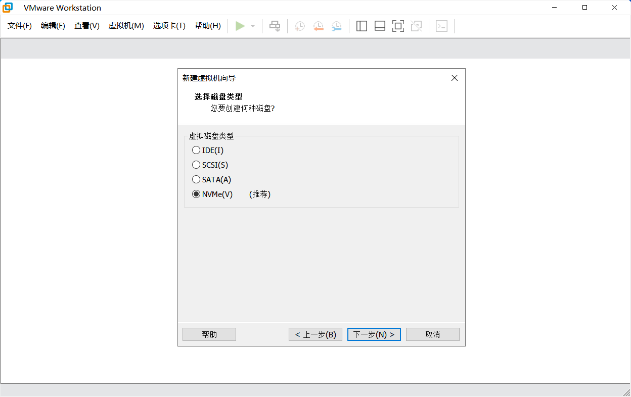 img-创建虚拟机-磁盘类型